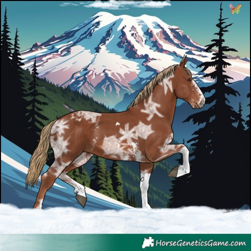 Horse Color:Chestnut Ice Sabino Tobiano 