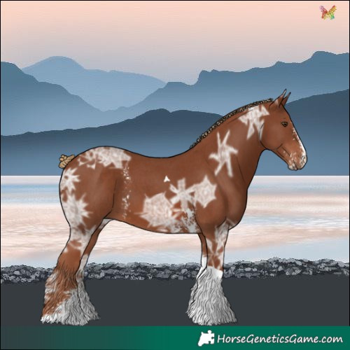 Horse Color:Chestnut Ice Sabino Tobiano 