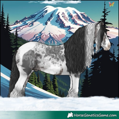 Horse Color:Brown Ice Tobiano Frame 