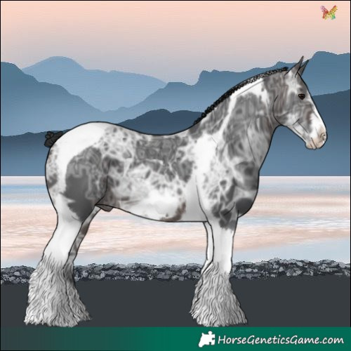 Horse Color:Brown Ice Tobiano Frame 