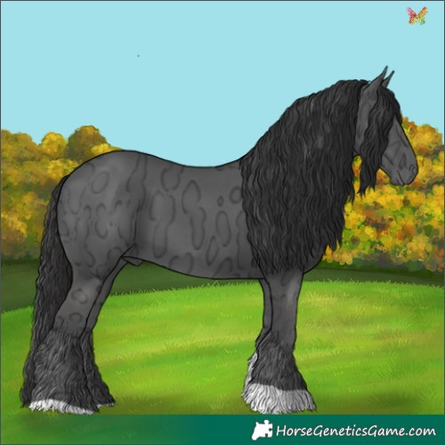 Horse Color:Liver Chestnut Ice Tobiano 