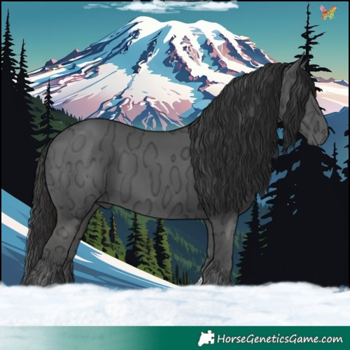 Horse Color:Liver Chestnut Ice Tobiano 