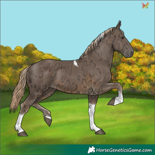 Horse Color:Chocolate Palomino Ice Tobiano 