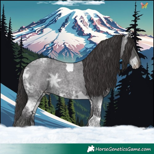 Horse Color:Smoky Blue Ice Roan Tobiano 