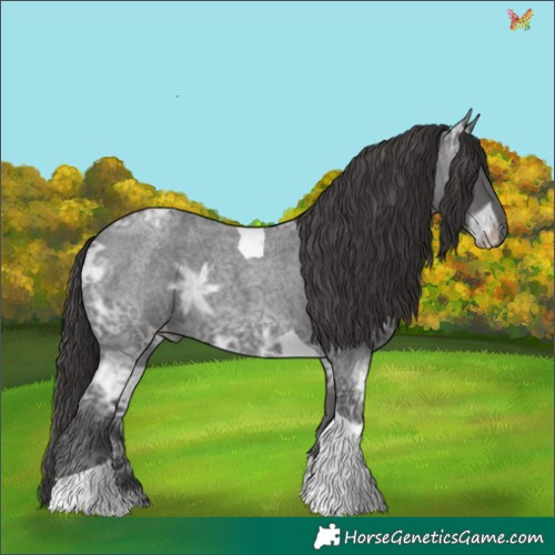 Horse Color:Smoky Blue Ice Roan Tobiano 