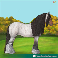 Horse Color:Bay Ice Roan Tobiano 