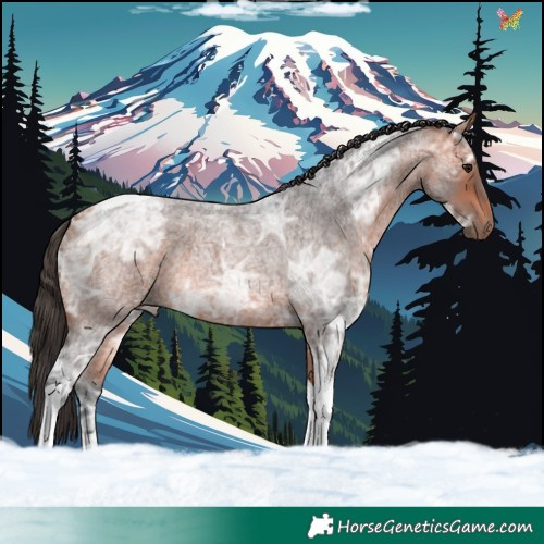Horse Color:Bay Ice Roan Tobiano 