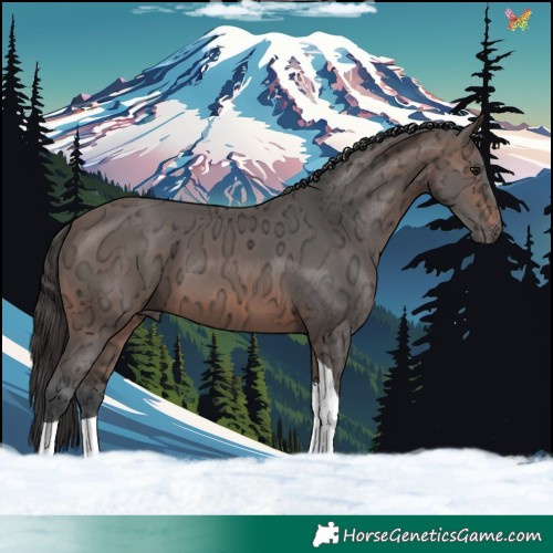 Horse Color:Brown Ice Tobiano 