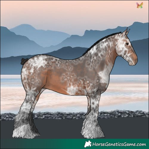 Horse Color:Brown Ice Tobiano 