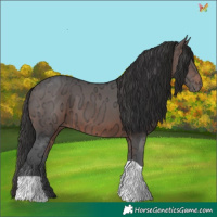 Horse Color:Brown Ice Tobiano 