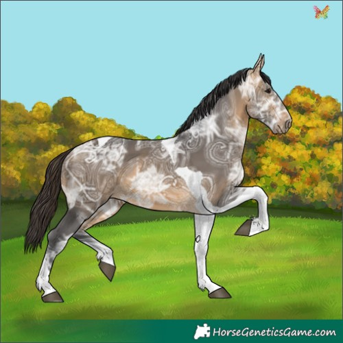Horse Color:Buckskin Ice Tobiano 
