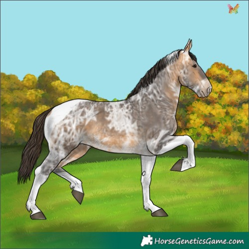 Horse Color:Buckskin Ice Tobiano