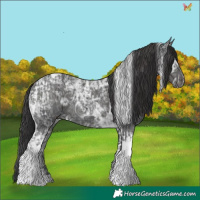 Horse Color:Black Ice Tobiano and Smoky Black Ice Tobiano