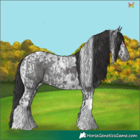 Horse Color:Black Ice Tobiano and Smoky Black Ice Tobiano