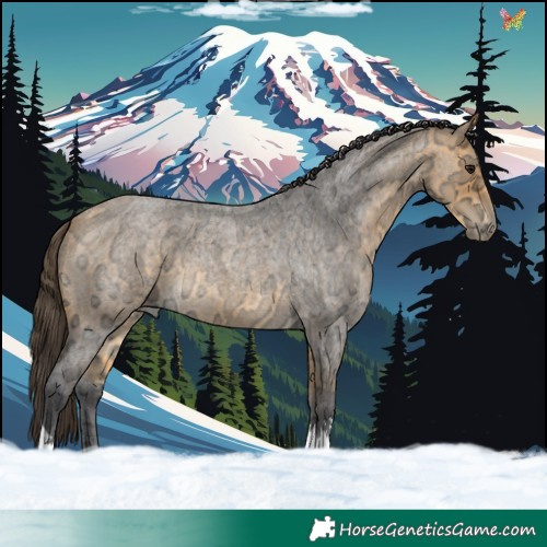 Horse Color:Buckskin Ice Roan Tobiano 
