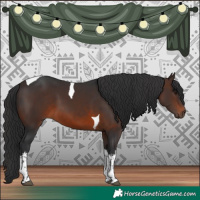 Horse Color:White Spotted Brown Tobiano 