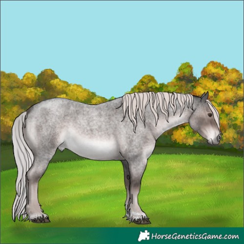 Horse Color:Platinum Liver Red Roan Tobiano 