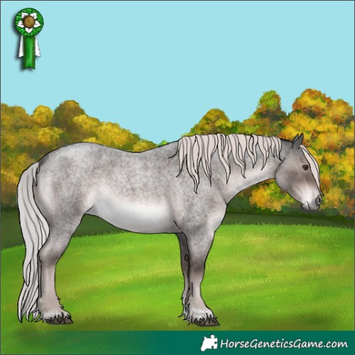 Horse Color:Platinum Liver Red Roan Tobiano 