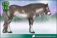 Horse Color:Platinum Liver Chestnut Tobiano Rabicano