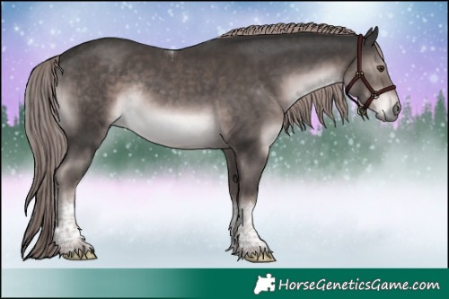 Horse Color:Platinum Liver Chestnut Tobiano Rabicano 