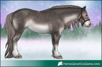 Horse Color:Platinum Liver Chestnut Tobiano Rabicano 