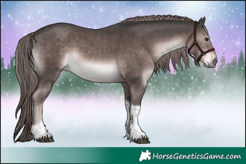 Horse Color:Platinum Liver Chestnut Tobiano 