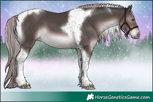 Horse Color:Platinum Liver Chestnut Tobiano 
