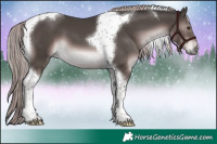 Horse Color:Platinum Liver Chestnut Tobiano 