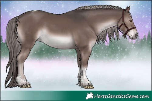 Horse Color:Platinum Liver Chestnut Tobiano 