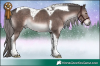 Horse Color:Platinum Liver Chestnut Tobiano Rabicano
