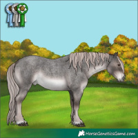 Horse Color:Platinum Liver Red Roan 