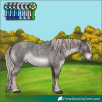 Horse Color:Platinum Liver Red Roan 