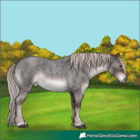 Horse Color:Platinum Liver Red Roan 