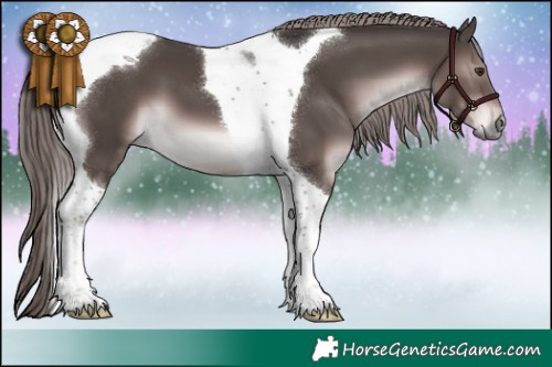 Horse Color:Platinum Liver Chestnut Tobiano 