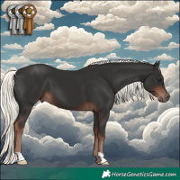 Horse Color:Liver Chestnut Mushroom 