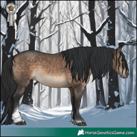 Horse Color:Brown Dun Tobiano 