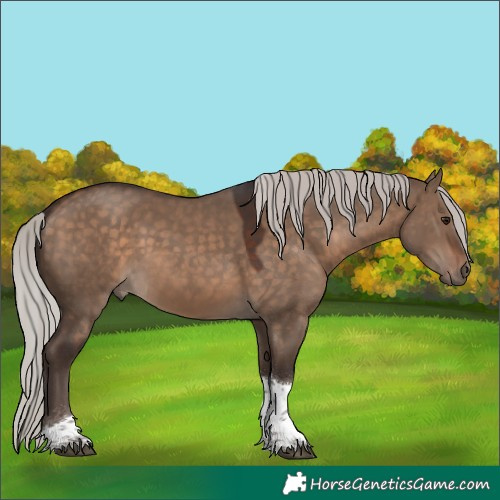 Horse Color:Silver Brown Dun Tobiano 