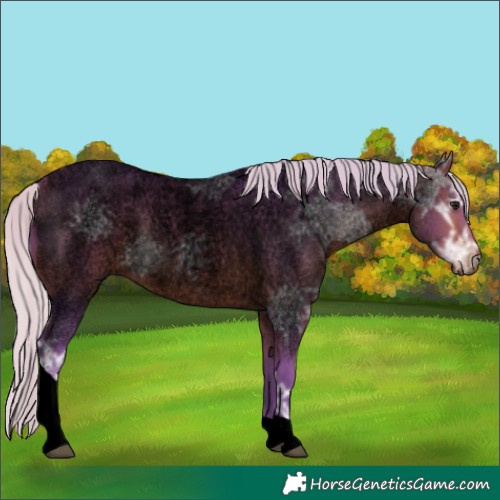 Horse Color:Void Watercolor Silver Bay Ice Roan Tobiano 
