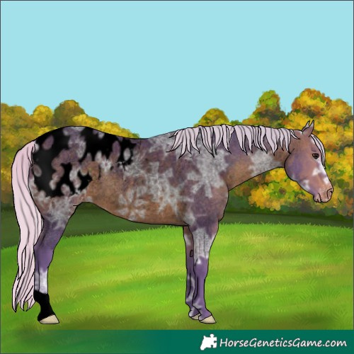 Horse Color:Void Watercolor Silver Brown Ice Roan Blanket