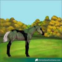 Horse Color:Void Watercolor Silver Brown Roan Splash Tobiano