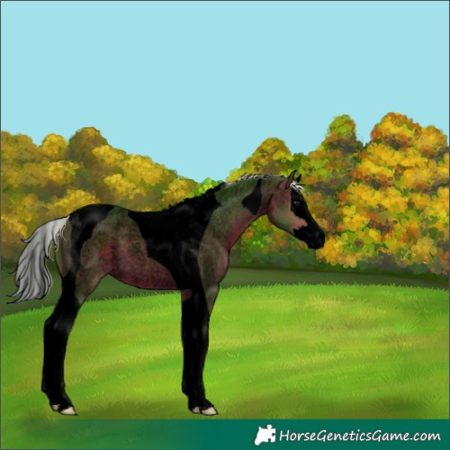 Horse Color:Void Watercolor Silver Brown Roan Splash Tobiano 