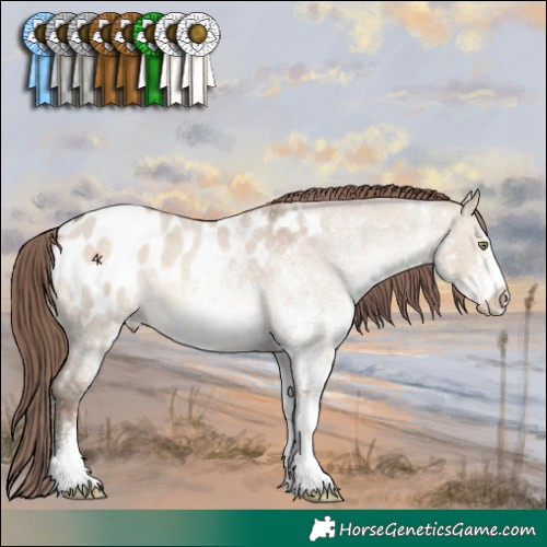 Horse Color:White Spotted Sable Champagne Roan Dun Appaloosa 