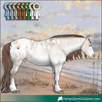 Horse Color:White Spotted Sable Champagne Roan Dun Near Leopard 