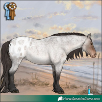 Horse Color:Brown Roan Dun Mushroom Appaloosa Rabicano