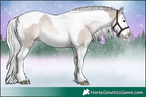 Horse Color:Platinum Palomino Splash Tobiano Rabicano 