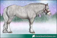 Horse Color:Platinum Silver Smoky Blue Roan Splash 