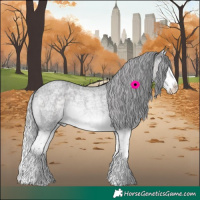 Horse Color:Platinum Silver Buckskin Roan Splash Rabicano 