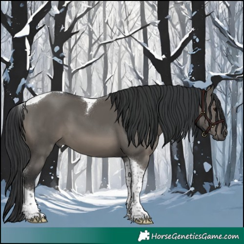 Horse Color:Grullo Tobiano 