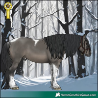 Horse Color:Grullo Tobiano