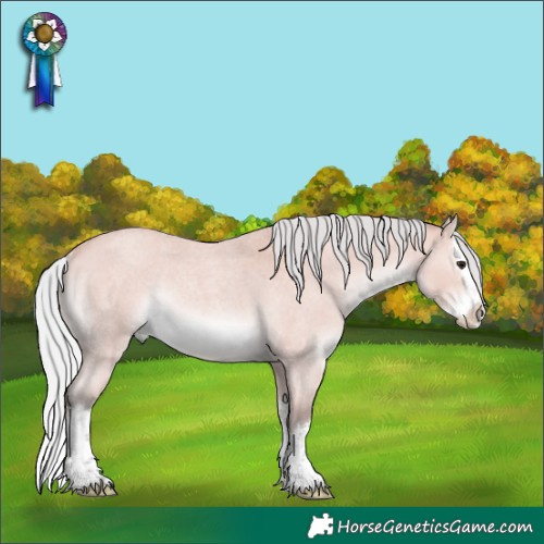 Horse Color:Platinum Silver Bay Roan Splash Rabicano 